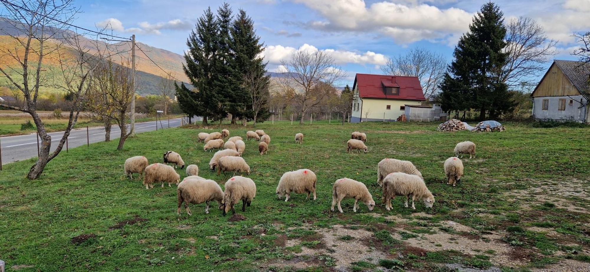 فيلا Plitvice Apis كورينيتسا المظهر الخارجي الصورة