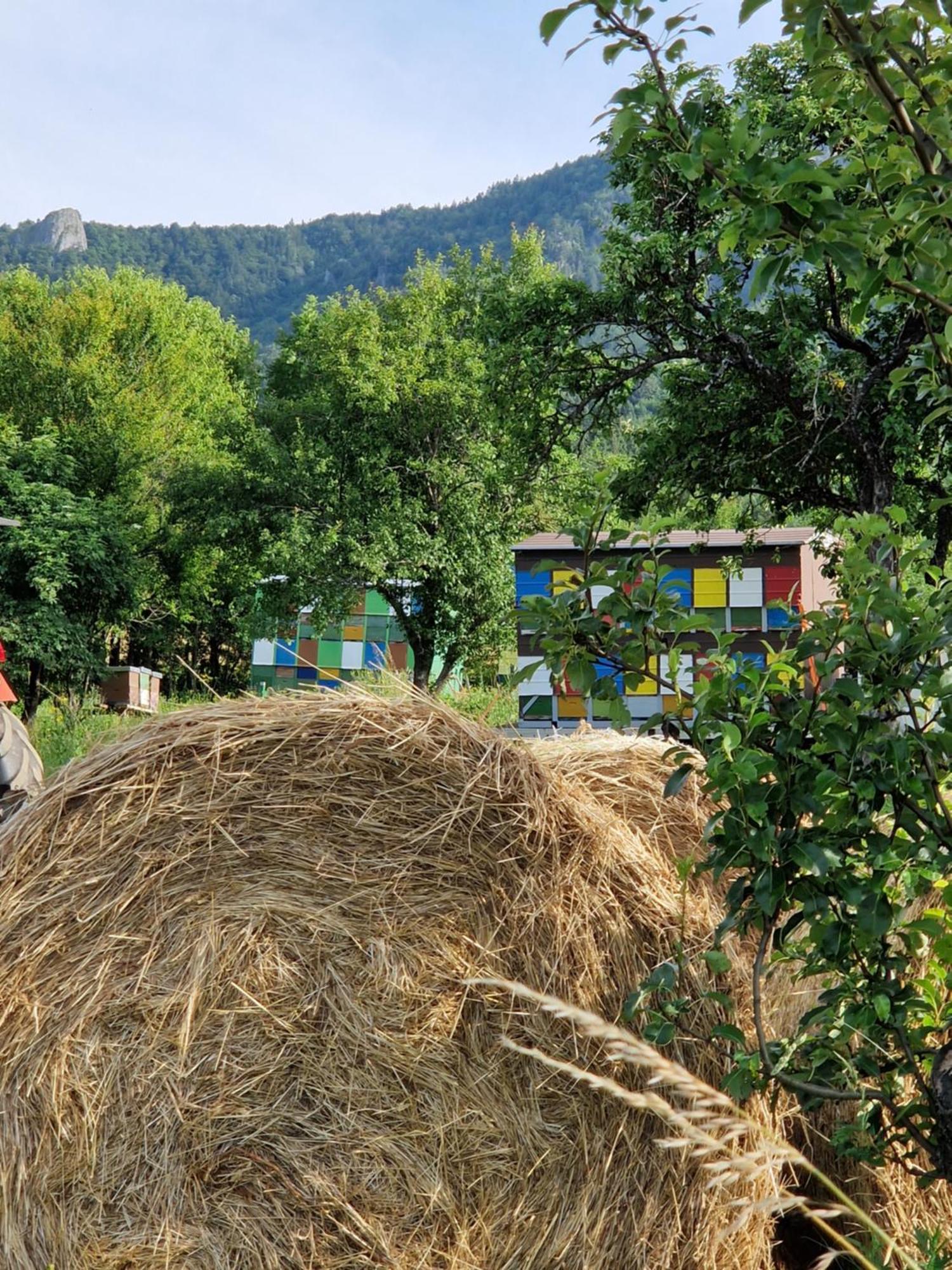 فيلا Plitvice Apis كورينيتسا المظهر الخارجي الصورة